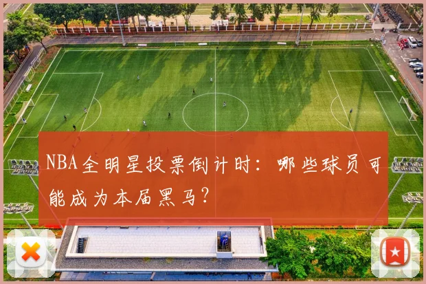 NBA全明星投票倒计时：哪些球员可能成为本届黑马？