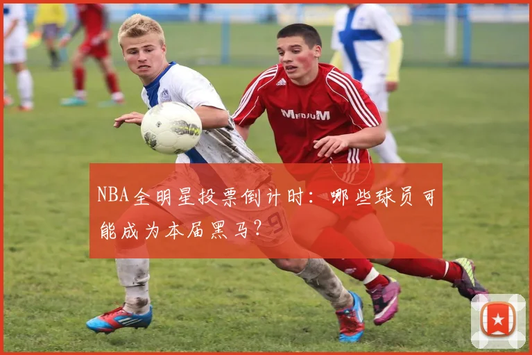 NBA全明星投票倒计时：哪些球员可能成为本届黑马？