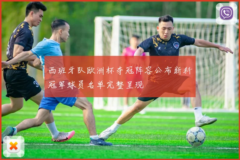 西班牙队欧洲杯夺冠阵容公布新科冠军球员名单完整呈现