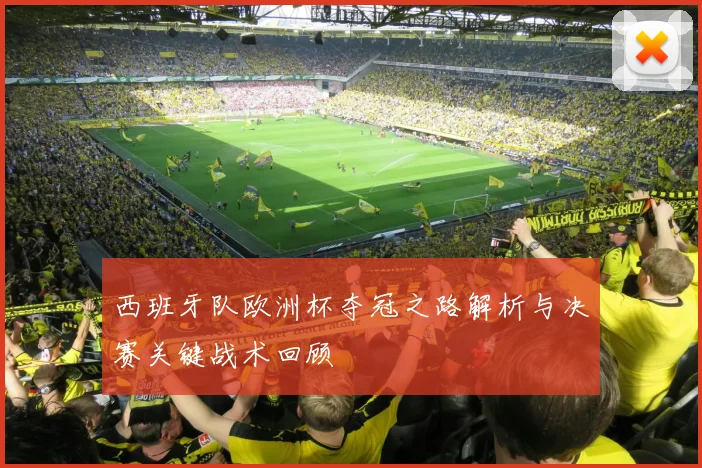 西班牙队欧洲杯夺冠之路解析与决赛关键战术回顾