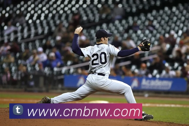 冠竞体育电子竞技官网平台生态图